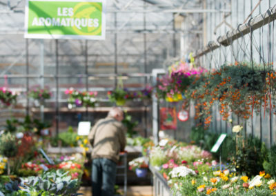 Un espace dédié au potager