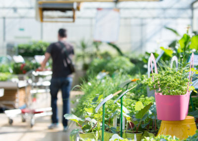 Une jardinerie familiale à proximité de Sommières