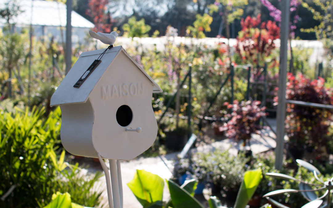 Le printemps arrive, préparez votre jardin !